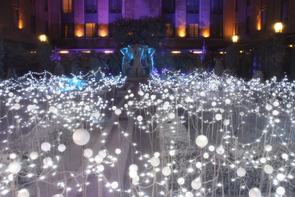 Bubble in Paris